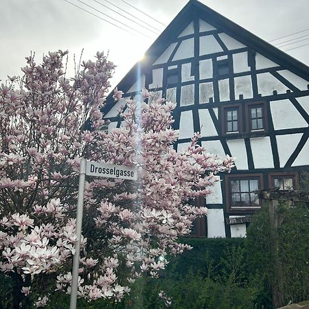 Das Pautzen Haus Daun Zewnętrze zdjęcie