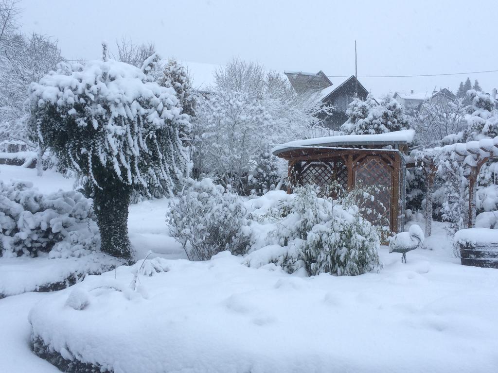 Das Pautzen Haus Daun Zewnętrze zdjęcie